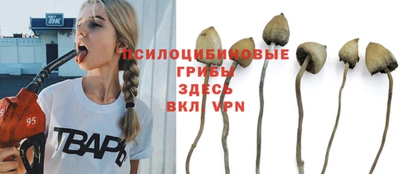 ешки Аркадак