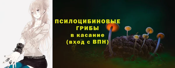 ешки Аркадак