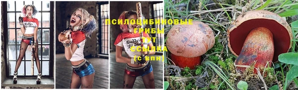 ешки Аркадак