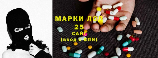 ешки Аркадак