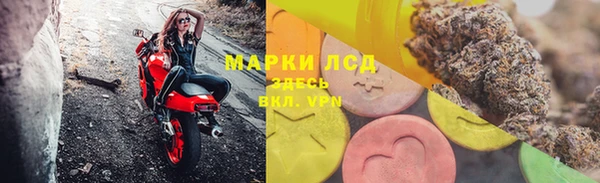 ешки Аркадак