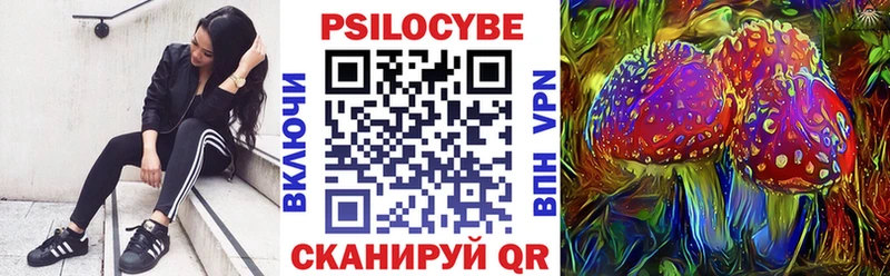 Псилоцибиновые грибы мицелий  где можно купить наркотик  Чаплыгин 